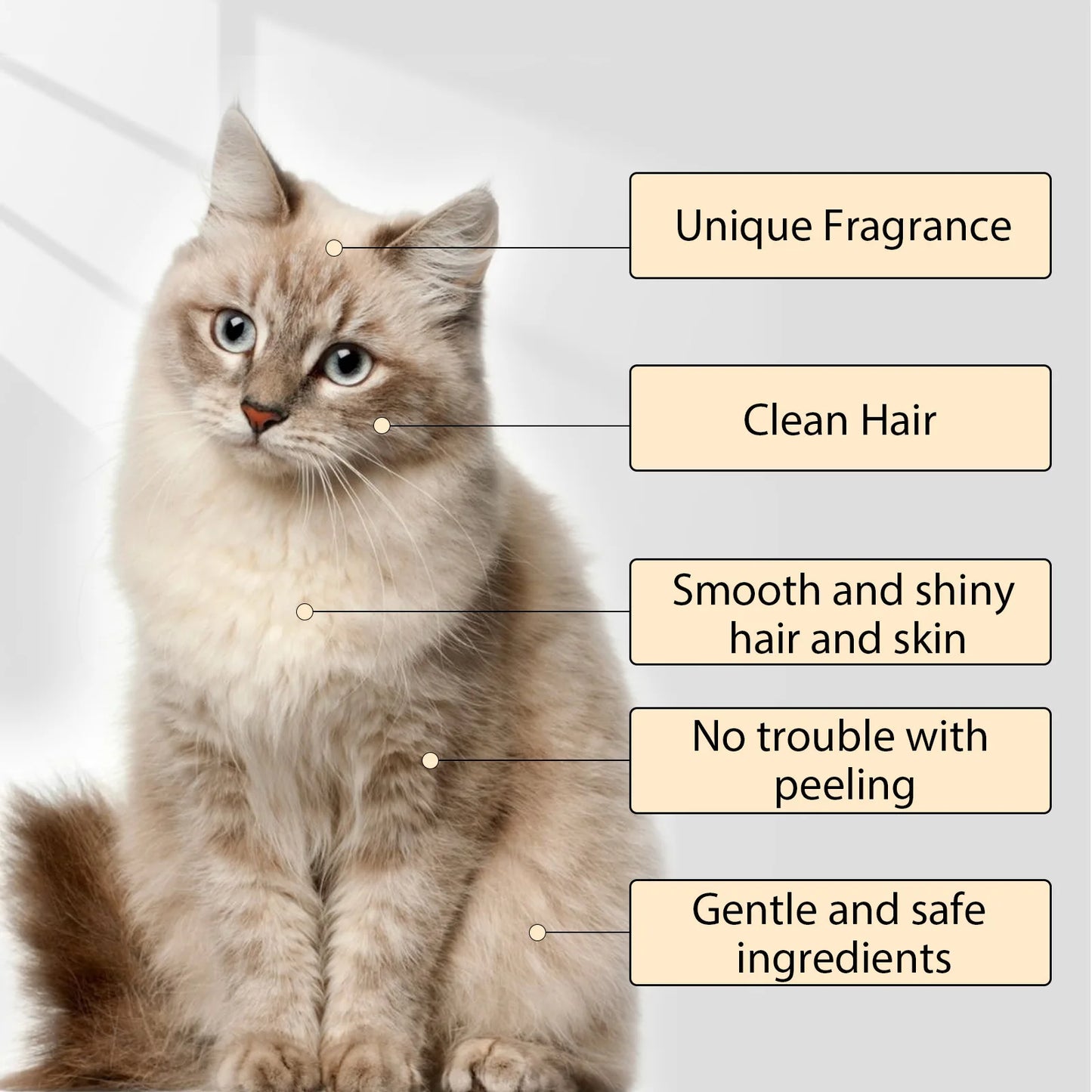 Anti-Flea Moisturizing Pet Shampoo for Softening Dirts Removing Mites Deodorizing and Reducing Itching