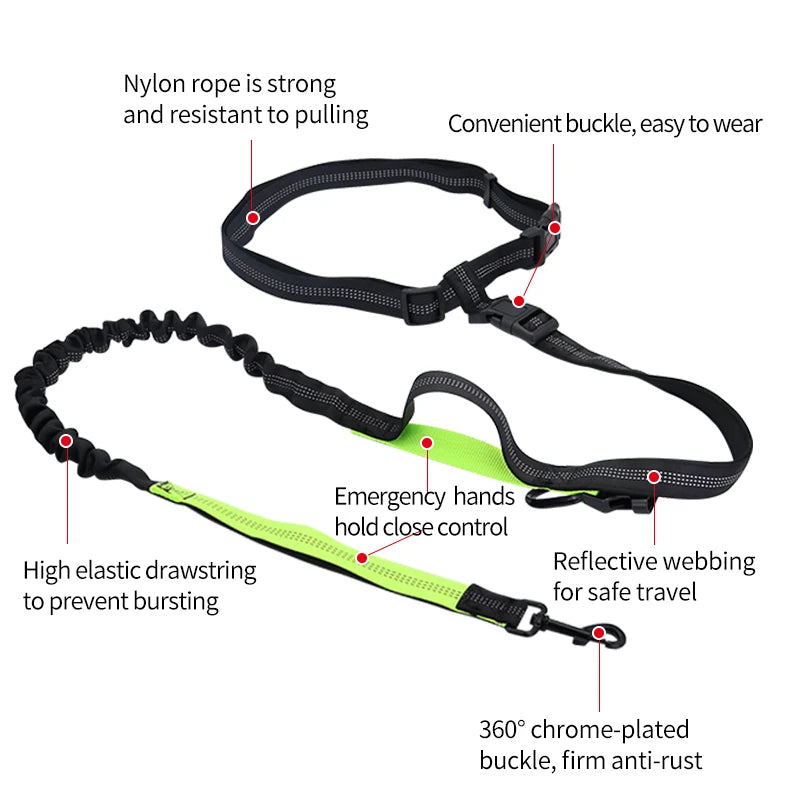 Adjustable Hands-Free Dog Leash with Waist Belt – Shock Absorbing & Reflective