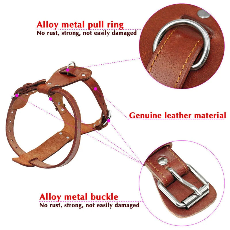 Genuine Leather Dog/Cat Harness - Brown, Adjustable & Durable