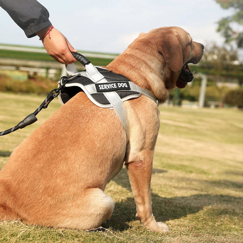 Reflective Dog Harness – Adjustable & Breathable