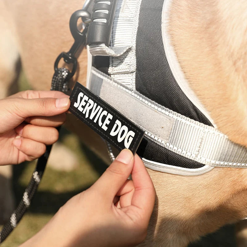 Reflective Dog Harness – Adjustable & Breathable