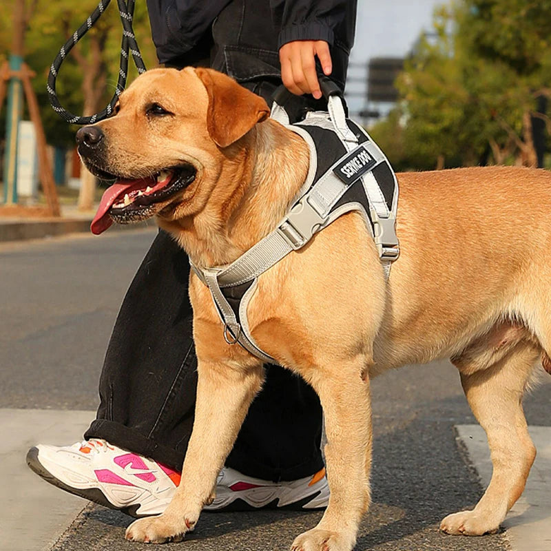 Reflective Dog Harness – Adjustable & Breathable