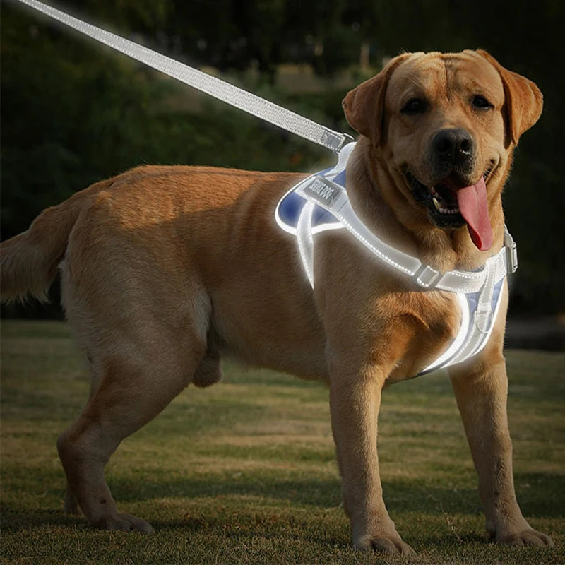 Reflective Dog Harness – Adjustable & Breathable