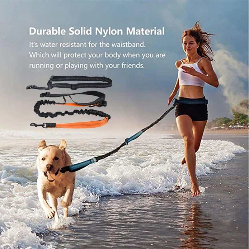 Adjustable Hands-Free Dog Leash with Waist Belt – Shock Absorbing & Reflective