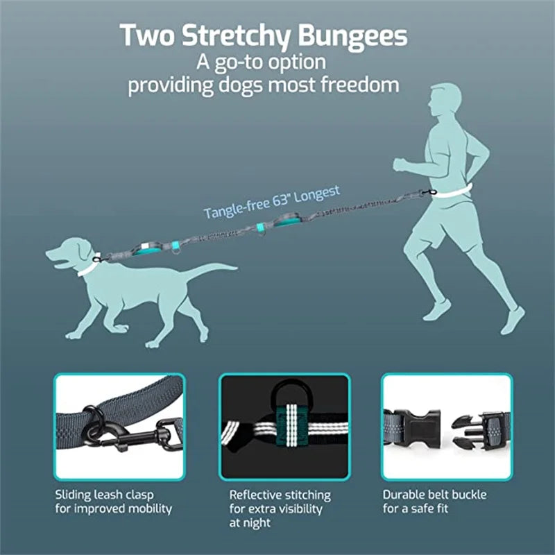 Adjustable Hands-Free Dog Leash with Waist Belt – Shock Absorbing & Reflective