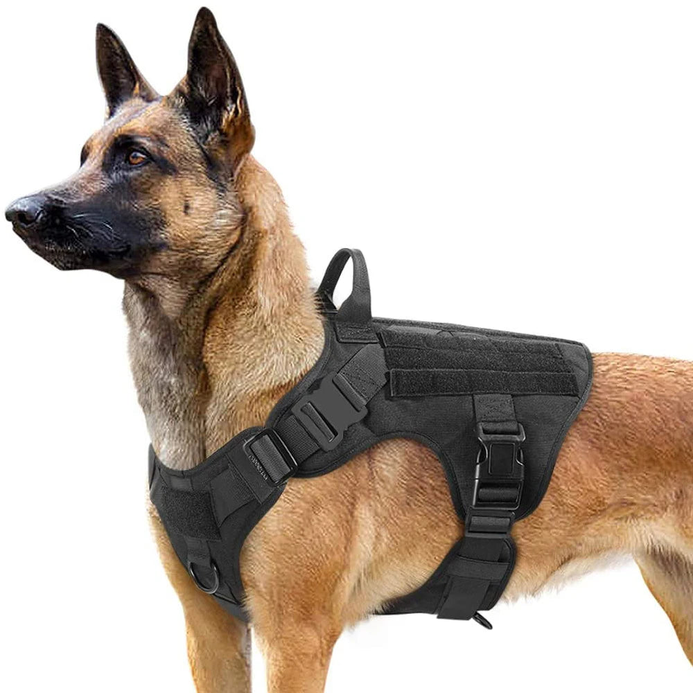 Large Dog Harness & Leash Set - Training & Walking Vest