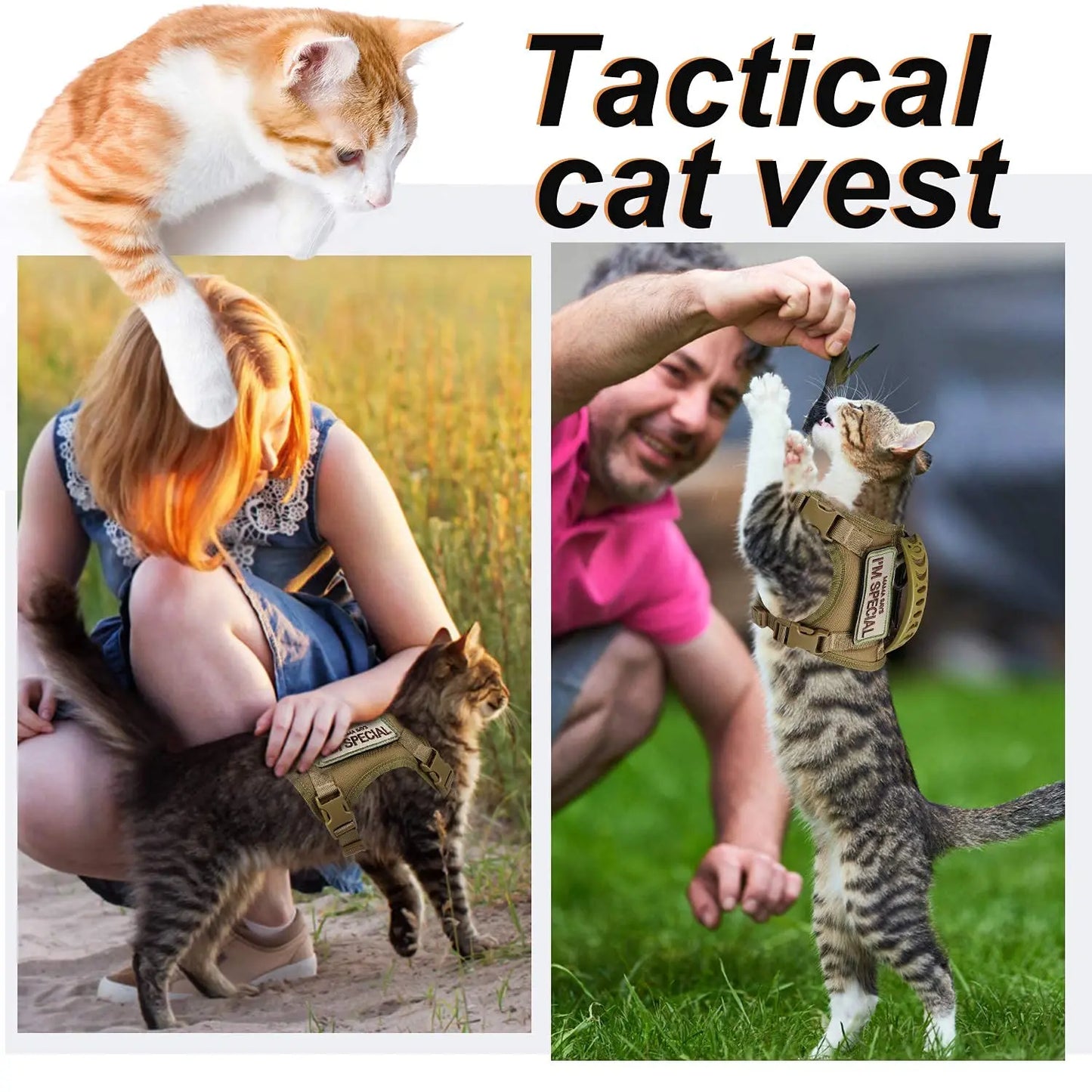 Tactical Quick-Release Cat and Small Dog Harness Set with Patches - Military Style Vest for K9 Training and Working Pets