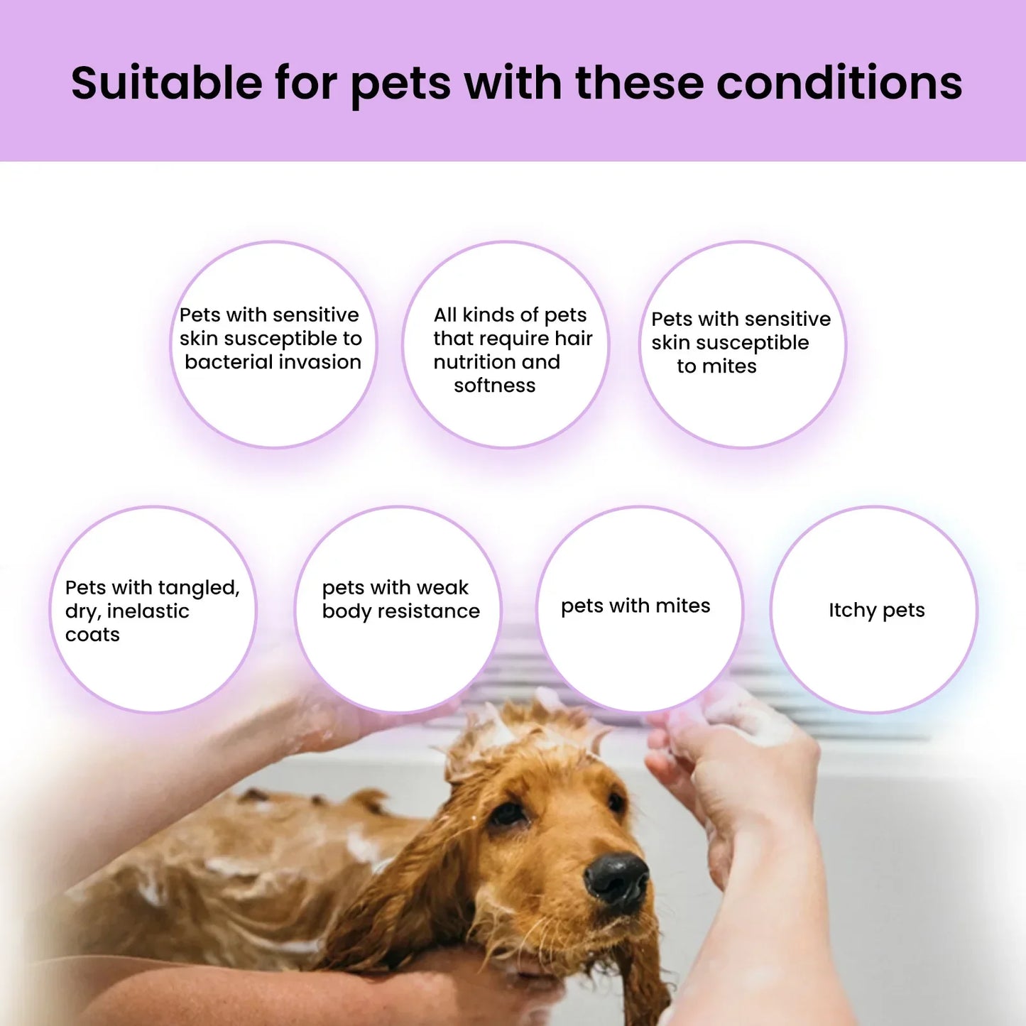 Moisturizing Pet Bath Shower Cleaning Tablets for Cats Dogs Anti-Flea Itching Odor Removal Effervescent Shampoo