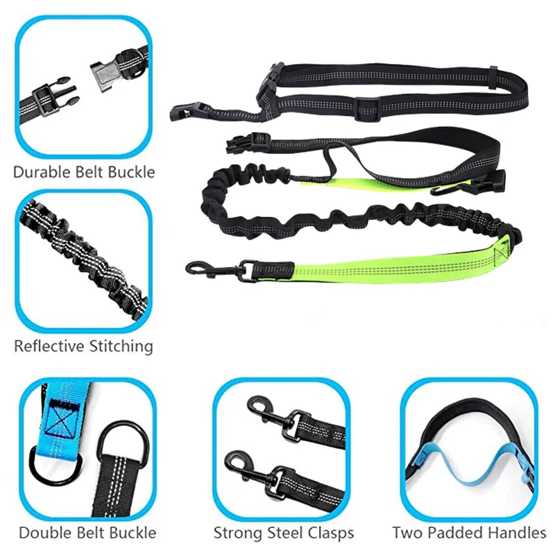 Adjustable Hands-Free Dog Leash with Waist Belt – Shock Absorbing & Reflective