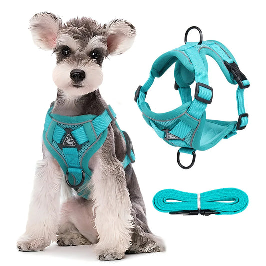 Harness Leash Set - Adjustable Reflective Vest for Small & Medium Dogs and Cats