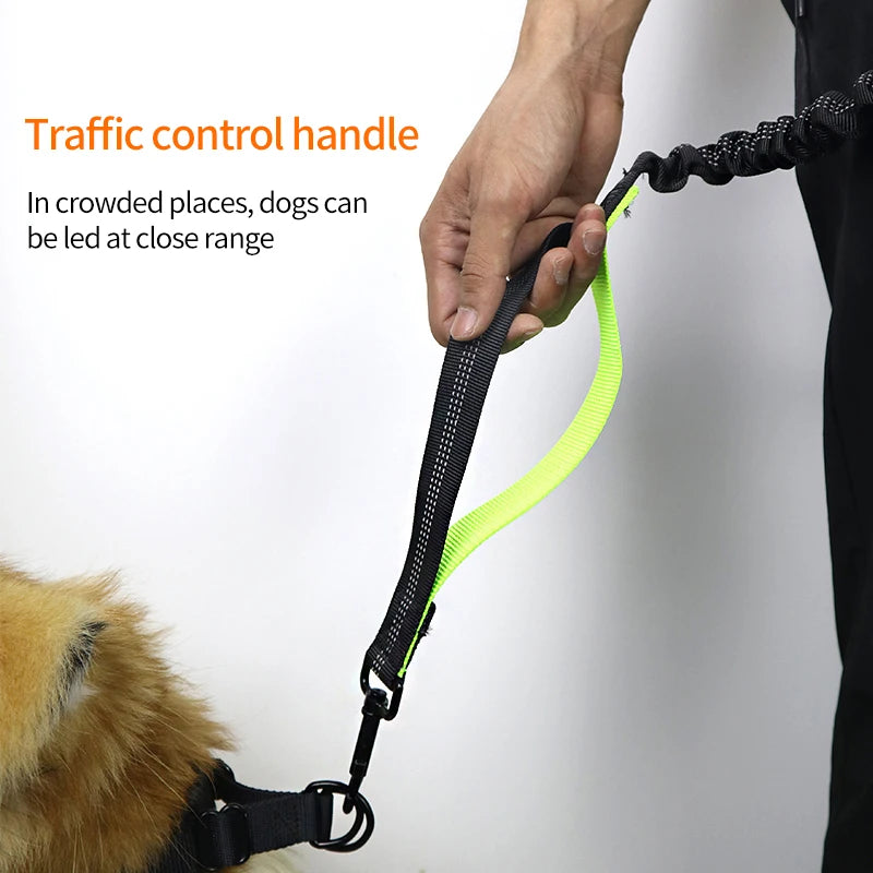 Adjustable Hands-Free Dog Leash with Waist Belt – Shock Absorbing & Reflective